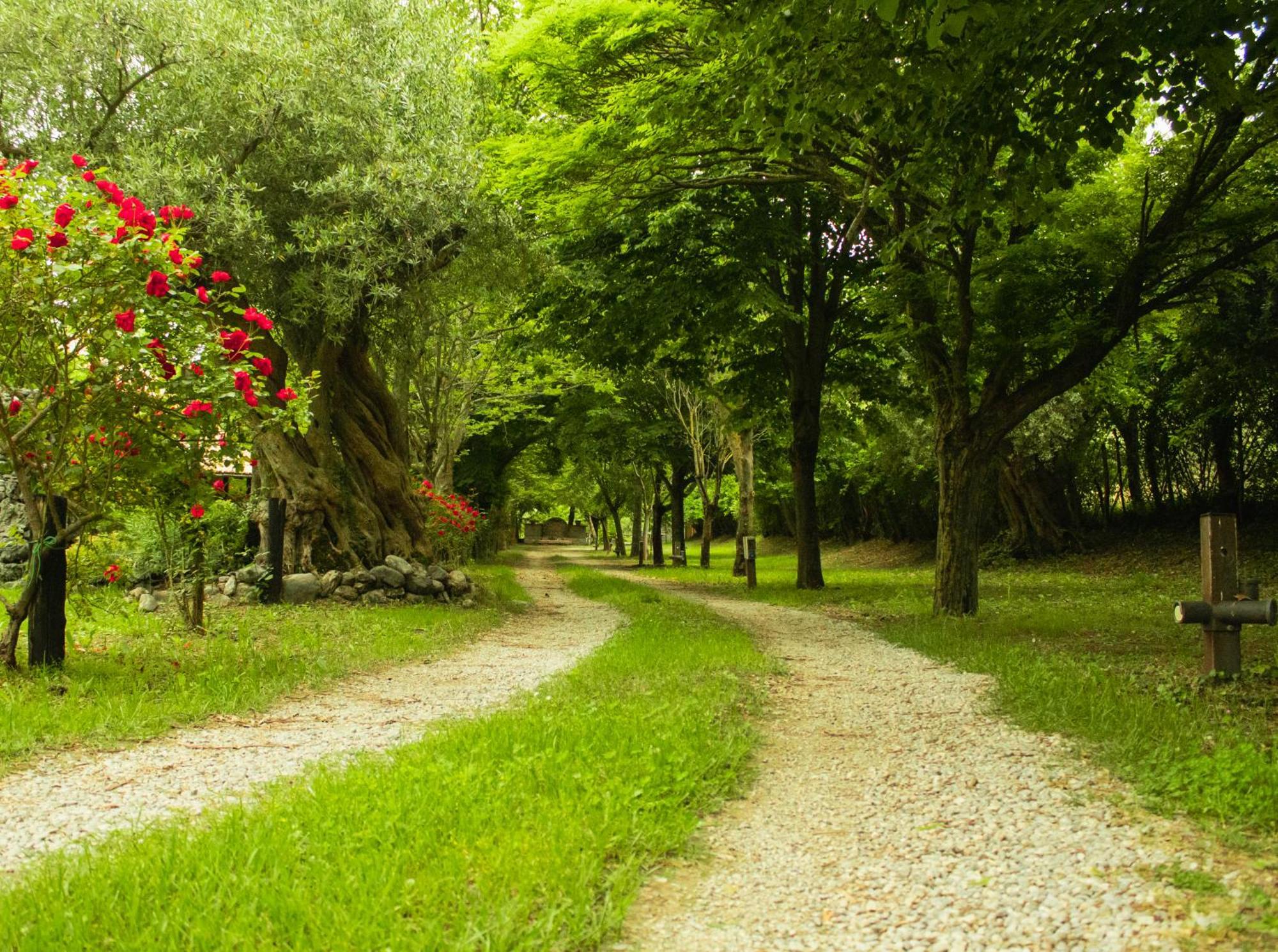 הוילה Ciclopark מוראנו קלאברו מראה חיצוני תמונה